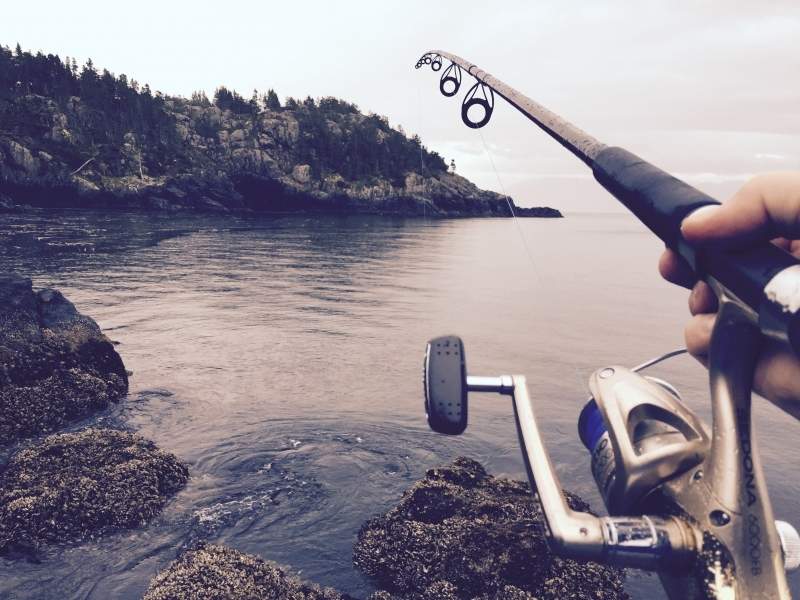 Things to Consider Before Choosing the Best Fishing Rod